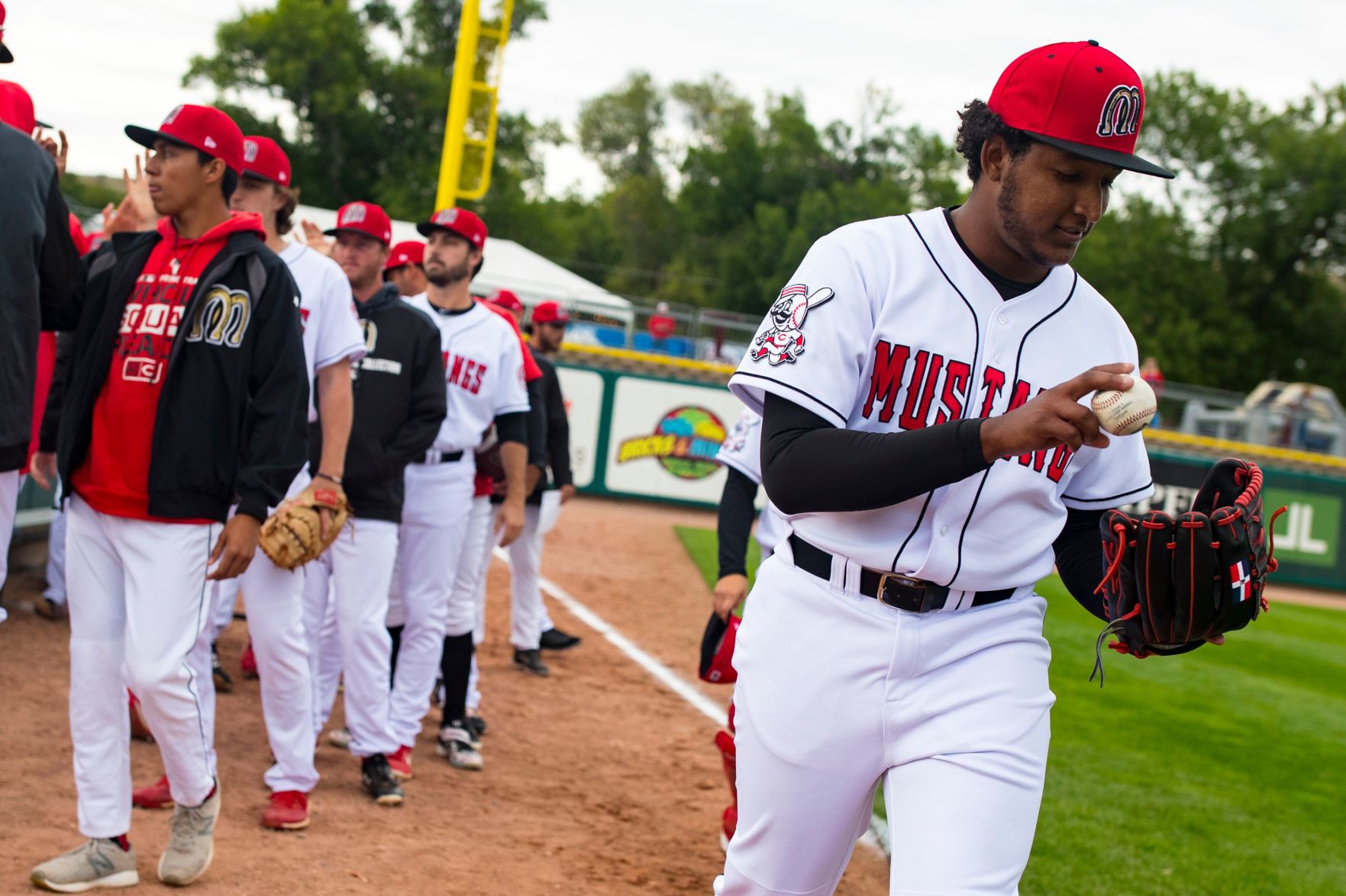 Mustangs vs. Chukars